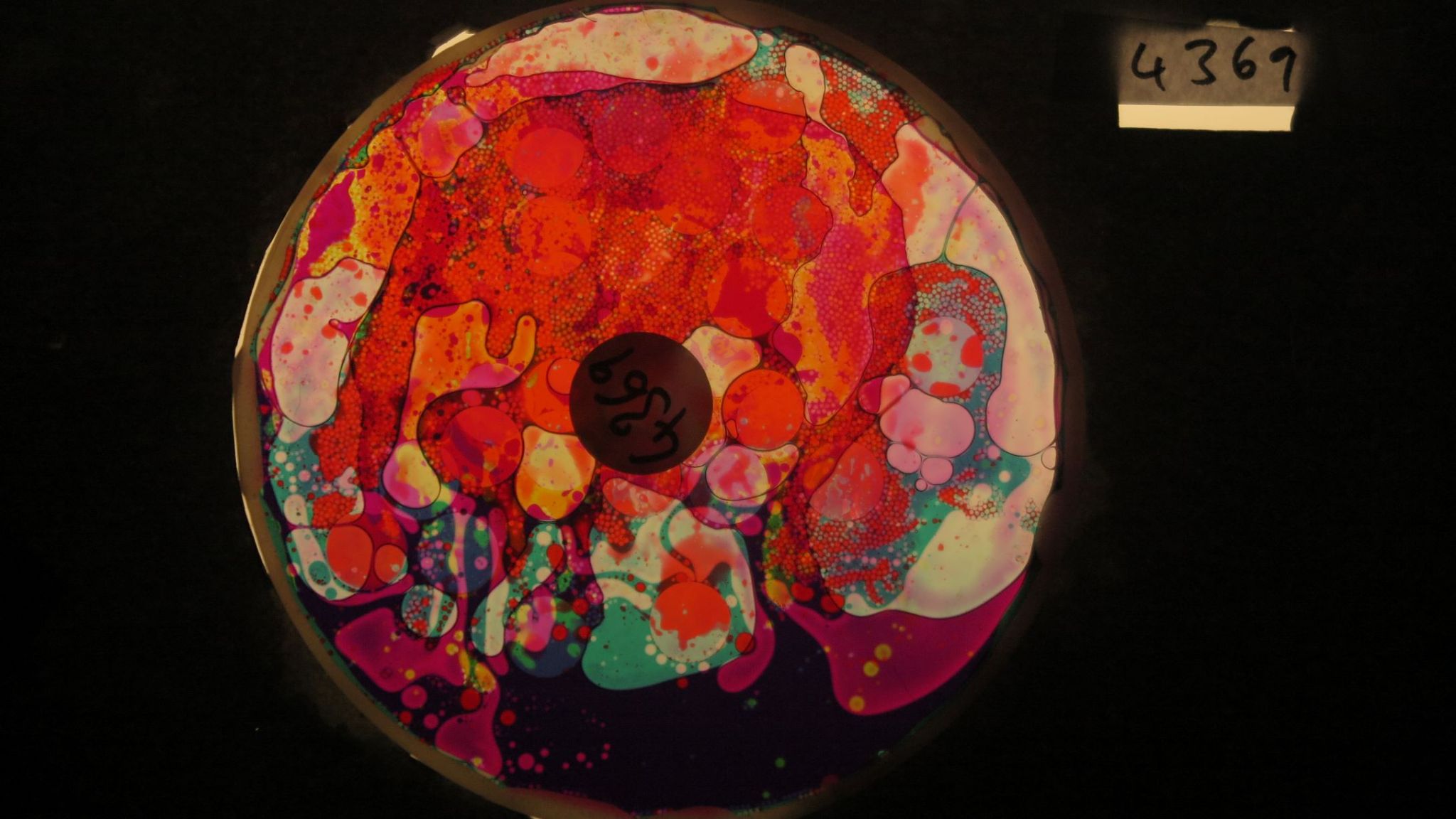 BV4369 bubble vision oil wheel